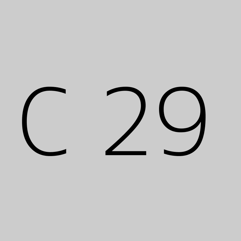 C 29 